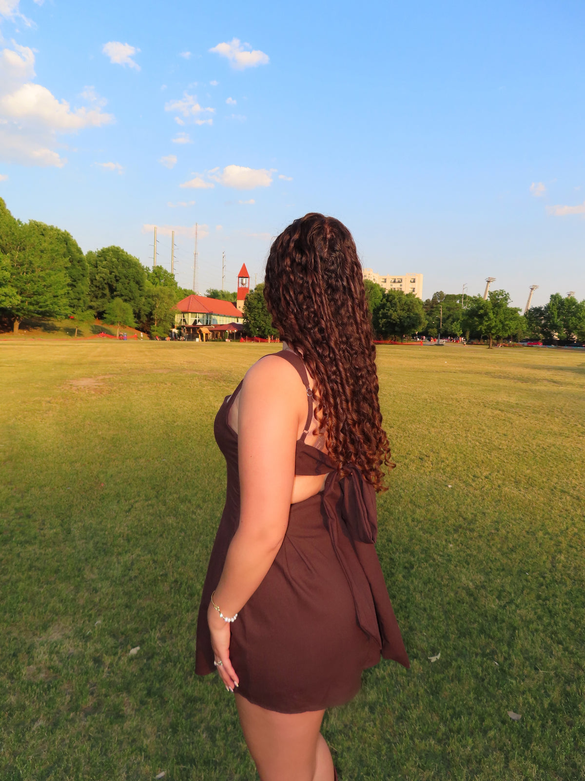 The Serena Mini Dress
