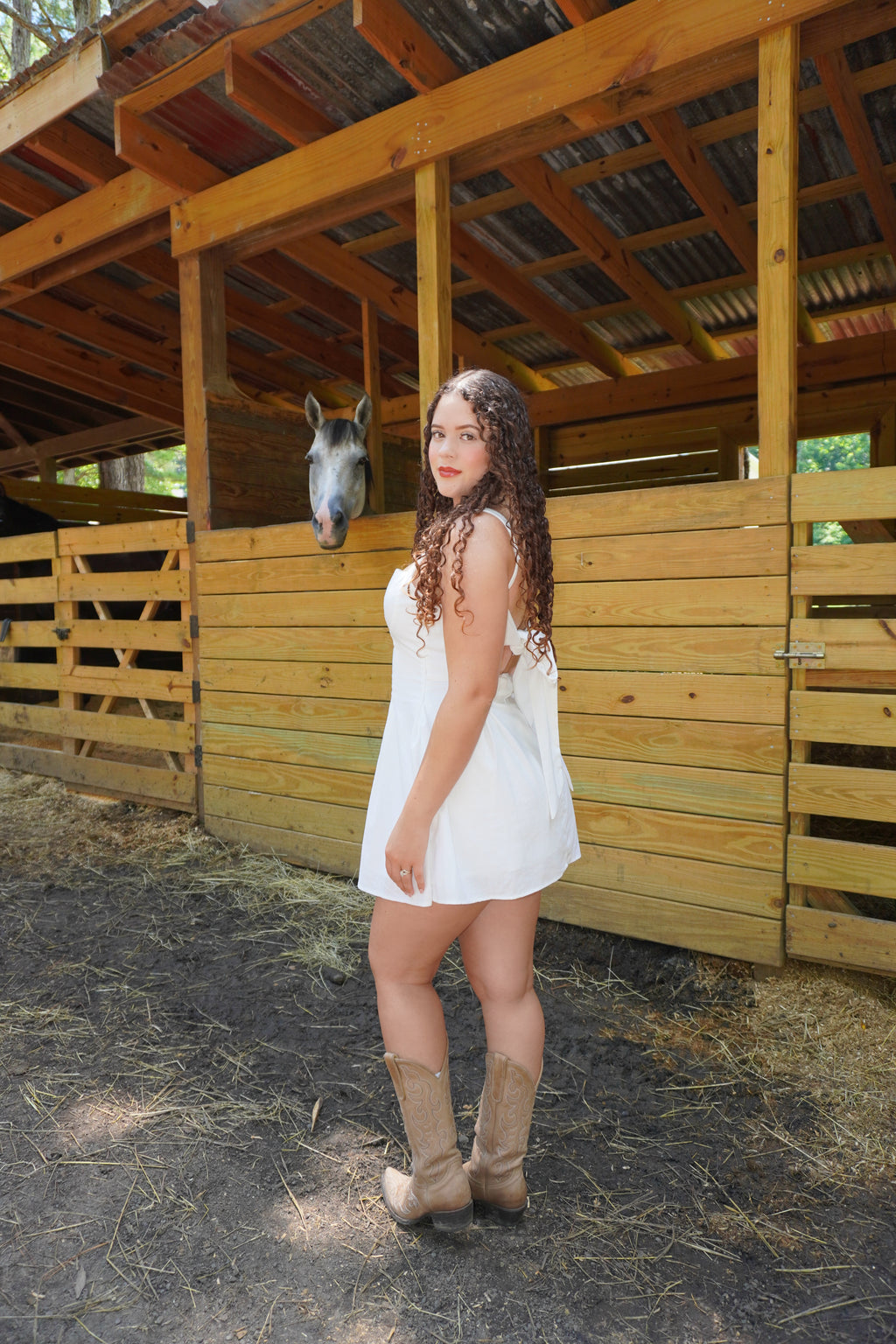 The Serena Mini Dress